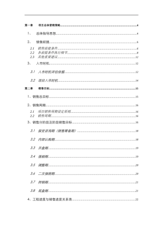 某公司项目总体营销策略报告