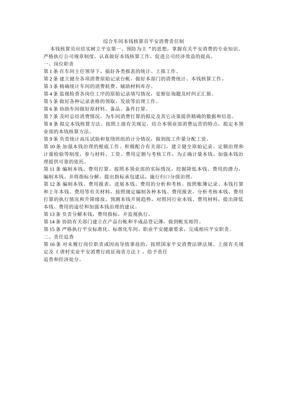 综合车ۥ间成本核算员安全生产责任制精选 _第1页