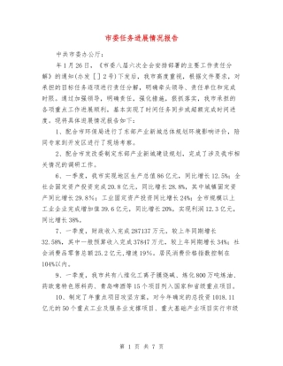 市委任务进展情况报告