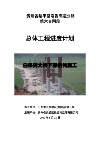 黎洛六标总体施工计划