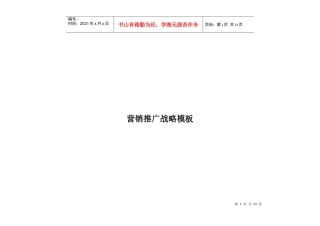营销推广战略模板
