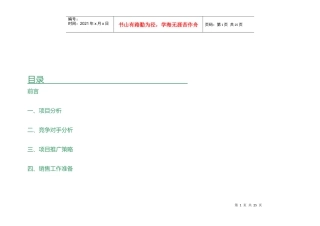 田丰新城市场推广策划方策1