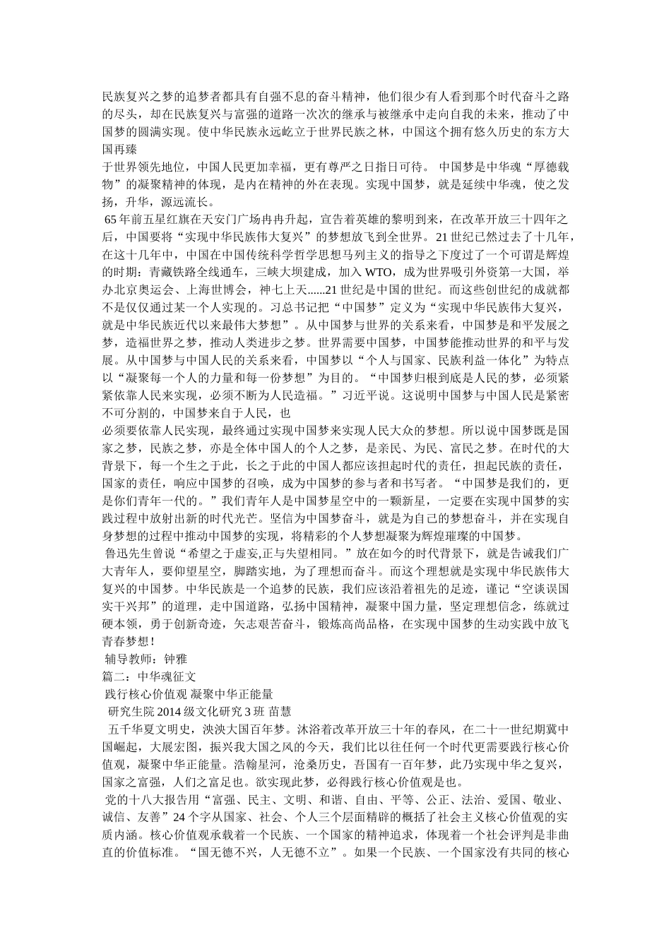 中华魂作文600字 _第2页