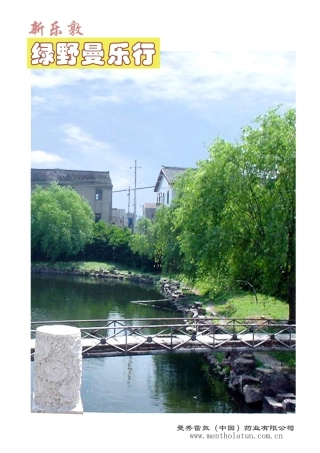 眼科药品市场分析--品牌市场（DOC45页）