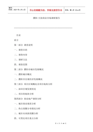 濮阳市某商业市场调研报告