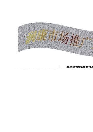 润康市场推广策略