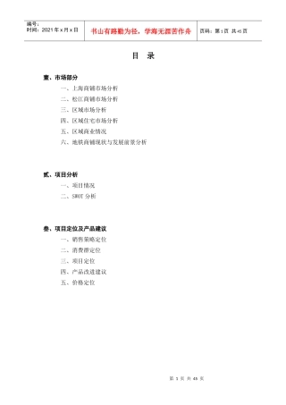 某商业广场初步市场定位报告