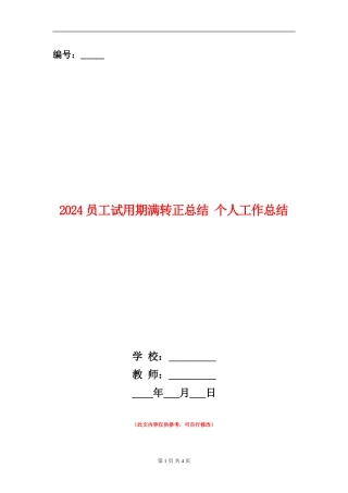 2024员工试用期满转正总结-个人工作总结
