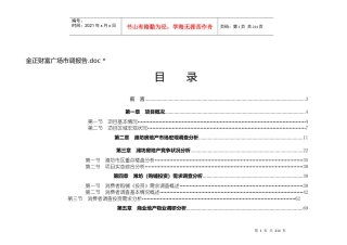 某财富广场市场调研报告