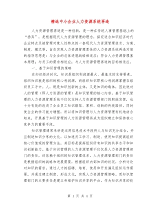 中小企业人力资源系统再造