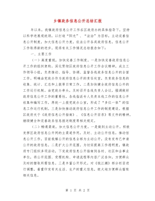 乡镇政务信息公开总结汇报