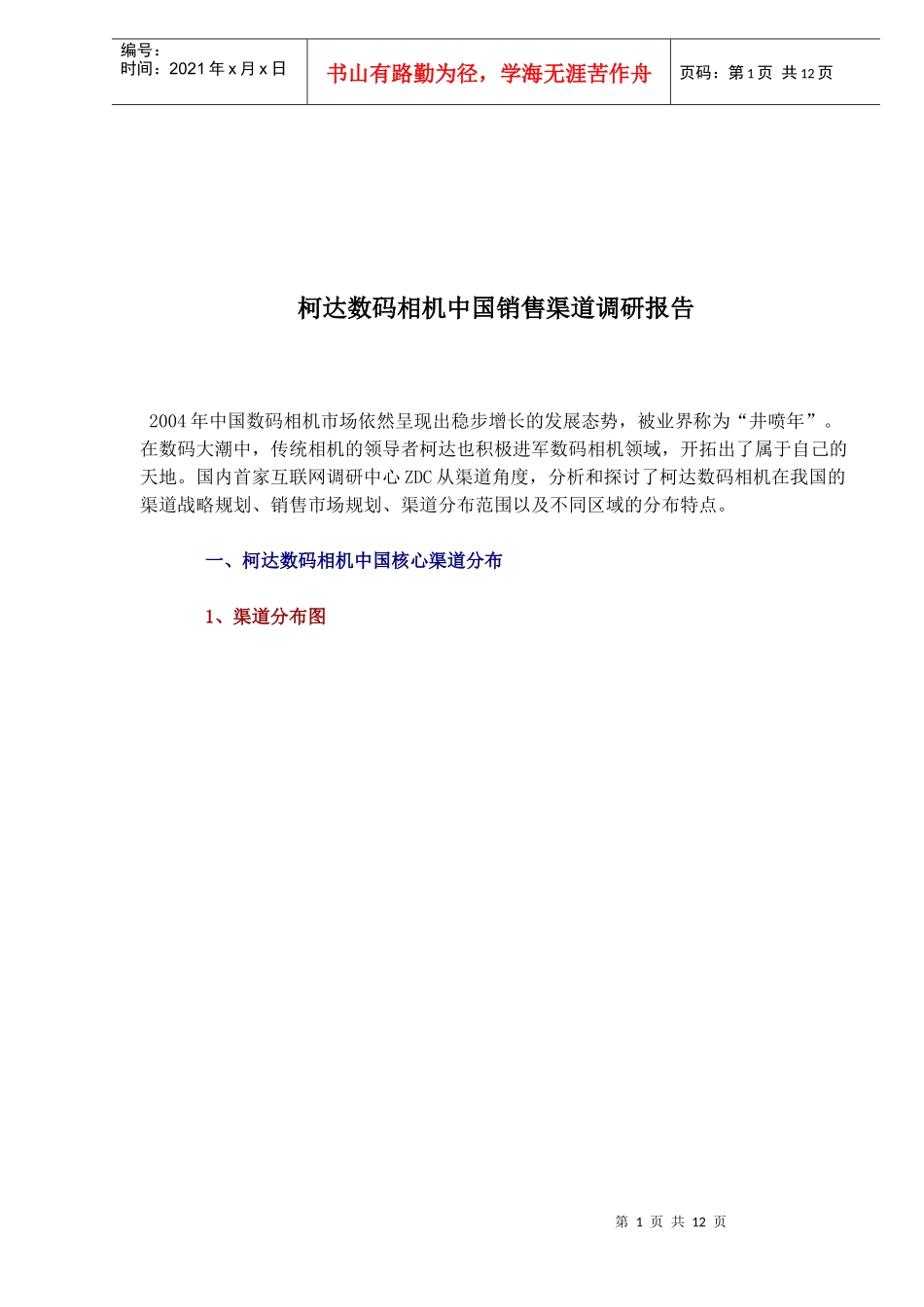 某品牌数码相机中国销售渠道调研报告_第1页