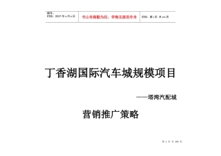 沈阳丁香湖国际汽车城塔湾汽配城营销推广策略_63页_XXXX年