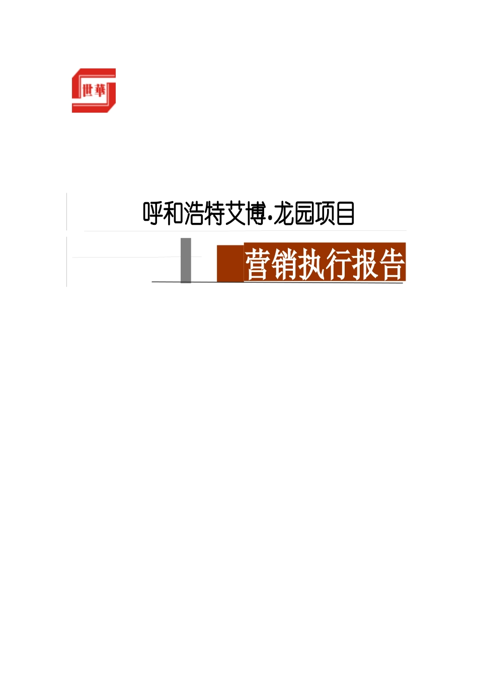 某项目营销执行报告_第1页