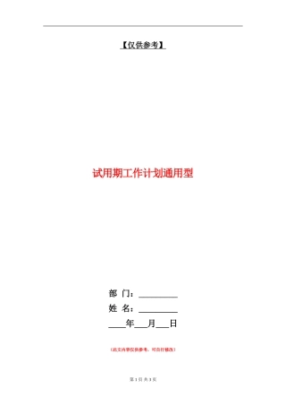 试用期工作计划通用型
