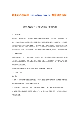 湖南xx软件公司市场推广策划方案(doc9)