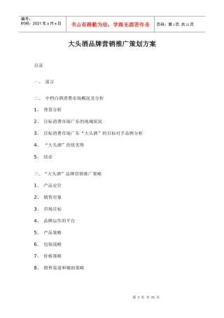 某酒品牌营销推广策划方案