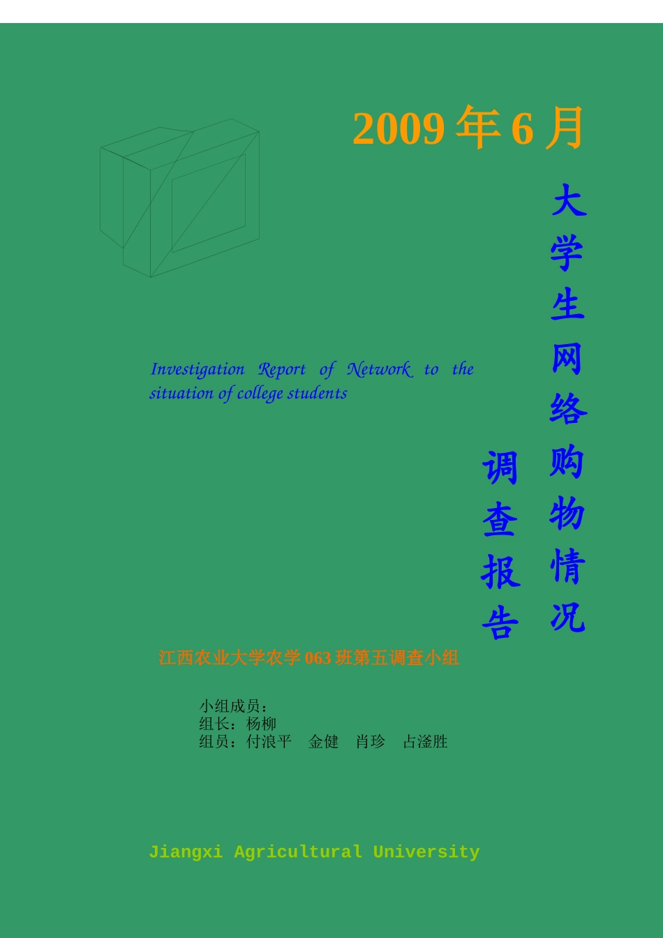 第五小组市场调研报告_第1页