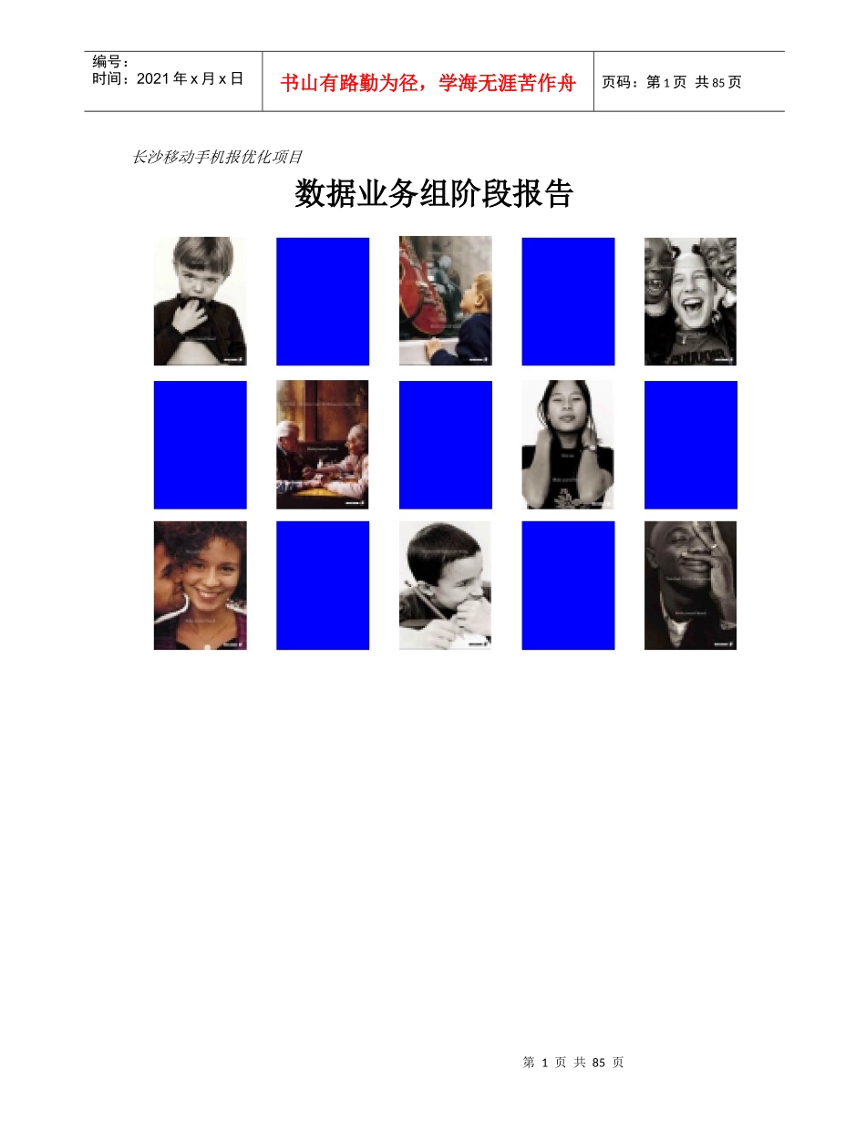 数据业务组总结报告_第1页