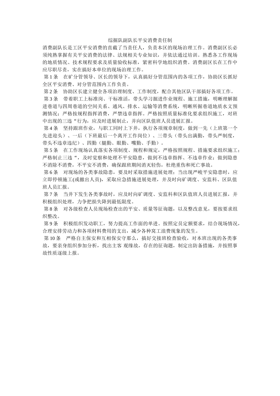 综掘队ۥ副队长安全生产责任制精选 _第1页