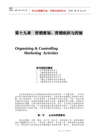 营销策划与营销组织类型