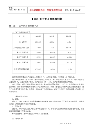 雁塔文化新天地营销策划案)