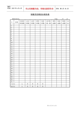销售员实绩综合报告表