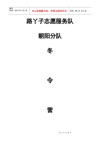 路丫子志愿服务队