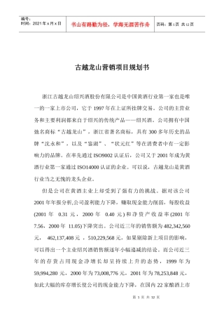 某山营销项目规划书