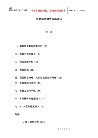 莱蒙都会销售策略建议报告