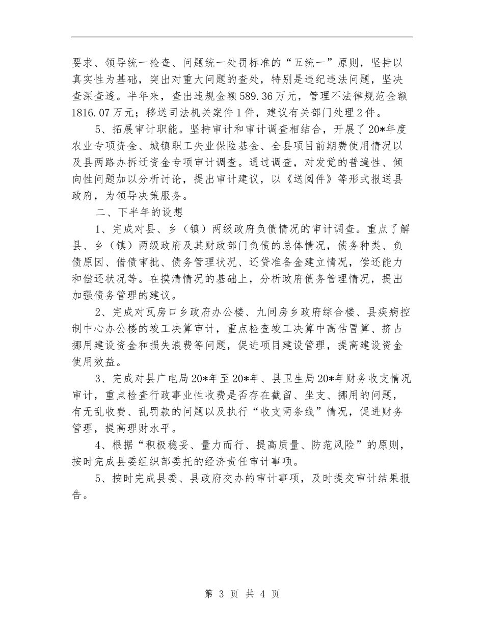 县审计局项目上半年工作总结_第3页