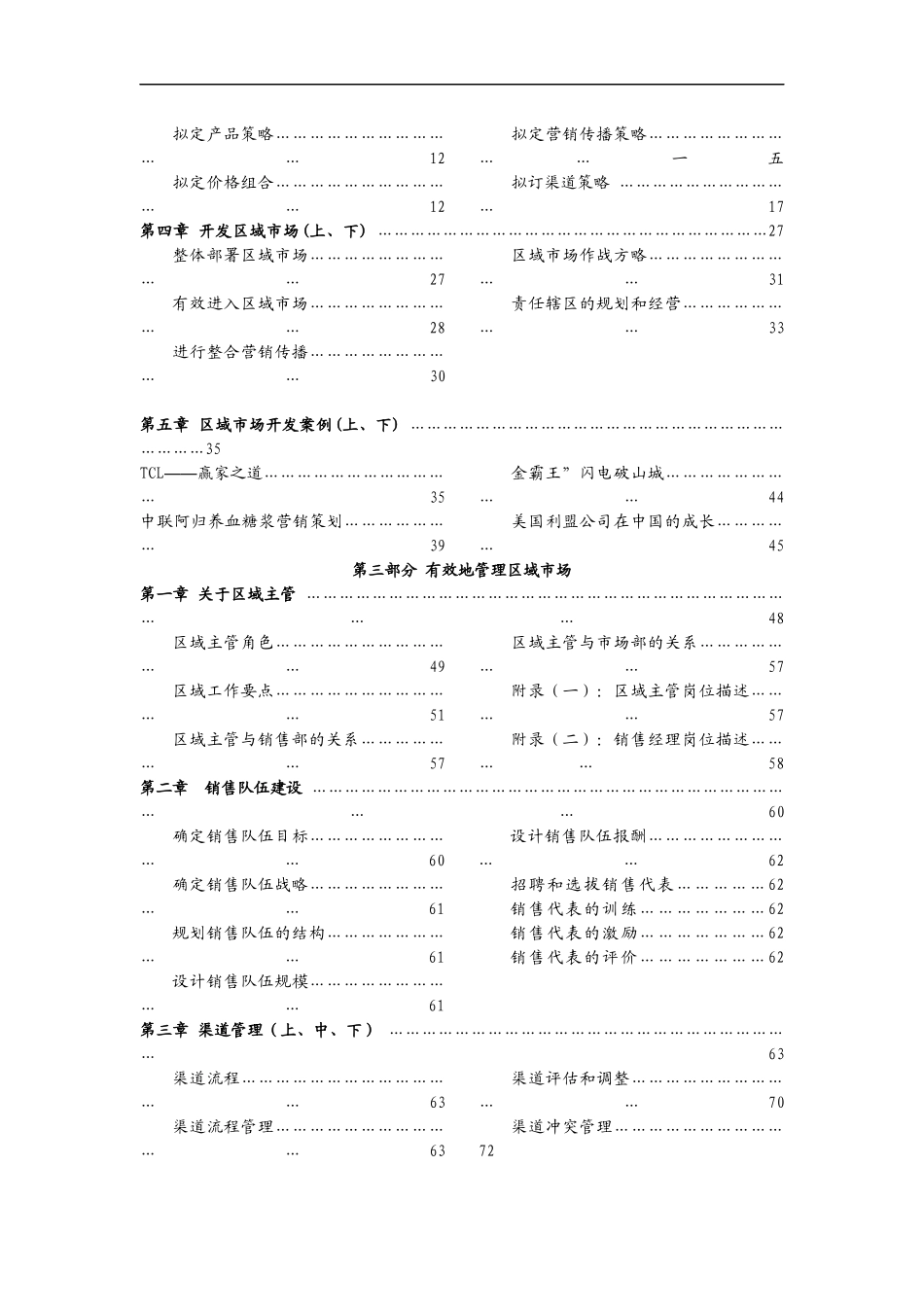 某电子集团区域市场营销规划方案_第2页