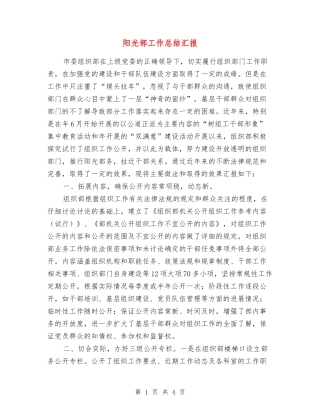 阳光部工作总结汇报