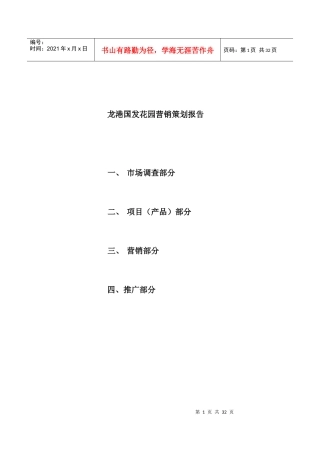 龙岗国际花园营销策划报告