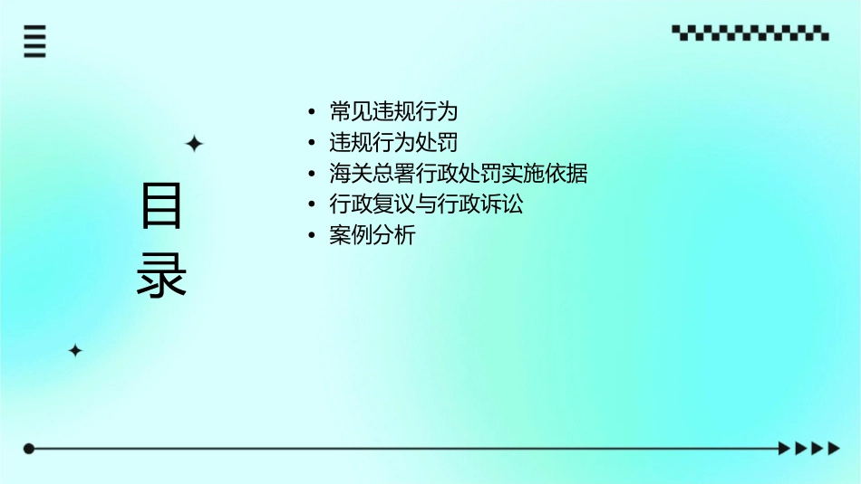 常见违规行为及其处罚海关总署课件_第2页