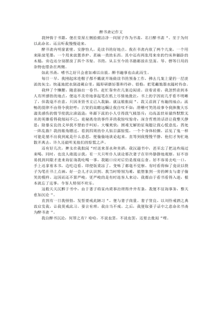 醉书斋ۥ记作文精选 