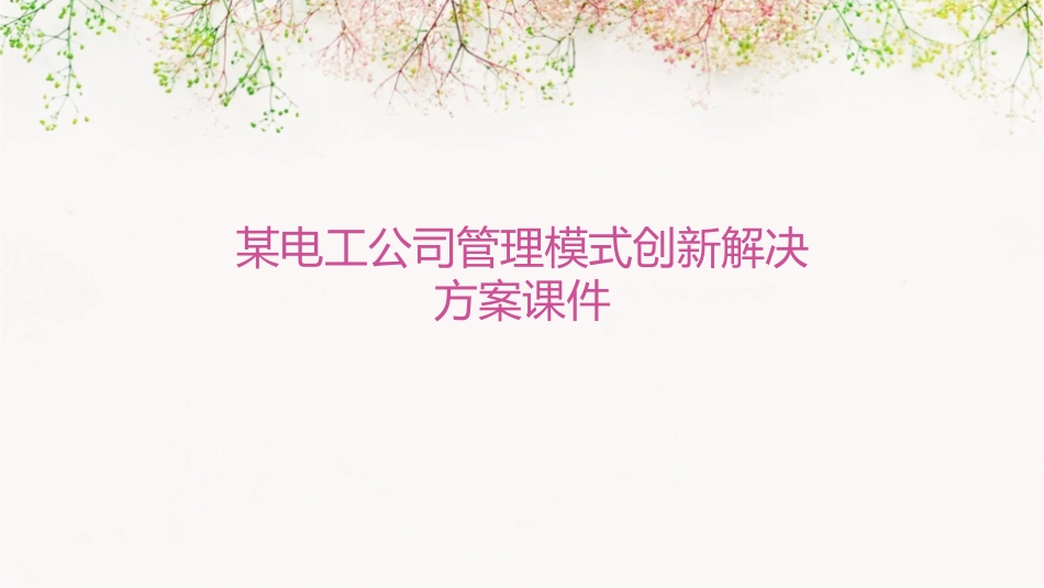 某电工公司管理模式创新解决方案课件_第1页
