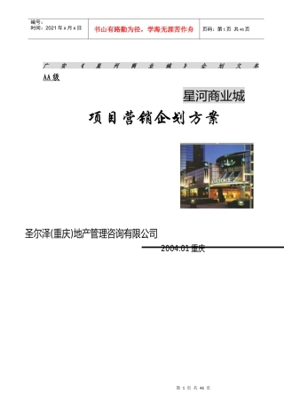 星河商业房地产项目营销企划方案