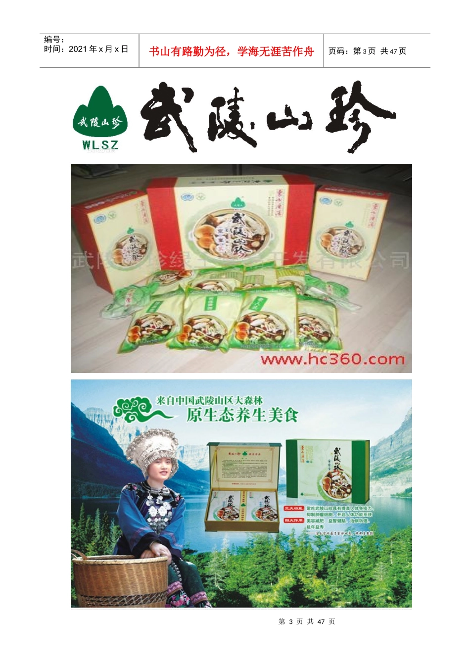 营销与策划方案大赛_第3页