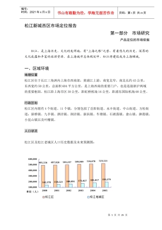 某市场定位报告