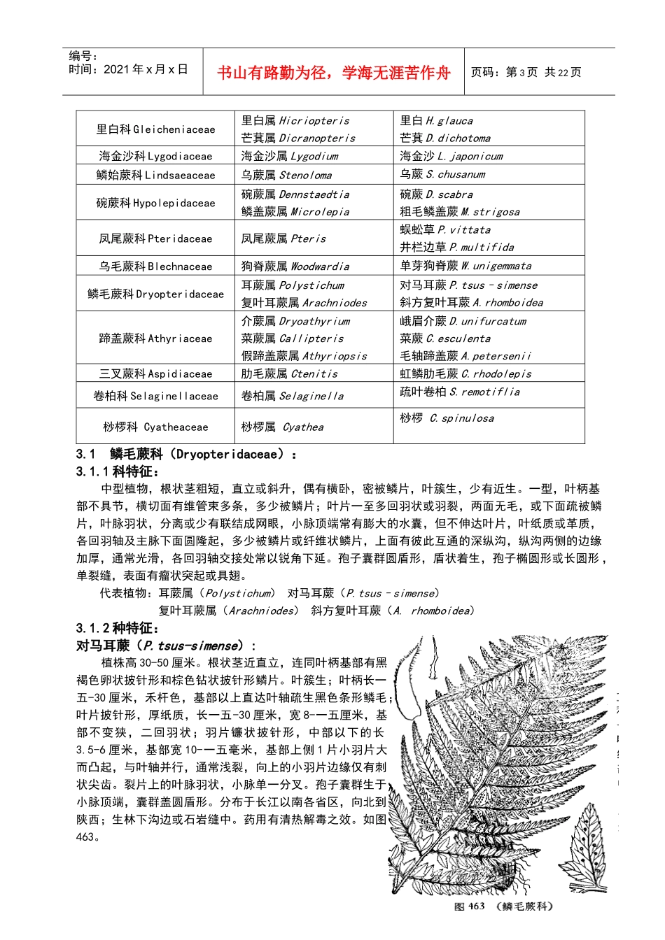 重庆缙云山蕨类植物调查研究_第3页