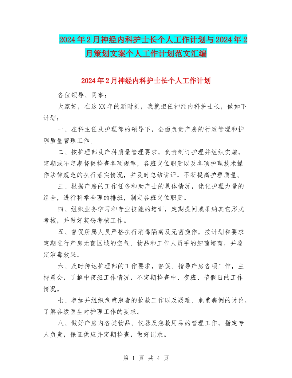 2024年2月神经内科护士长个人工作计划与2024年2月策划文案个人工作计划范文汇编_第1页