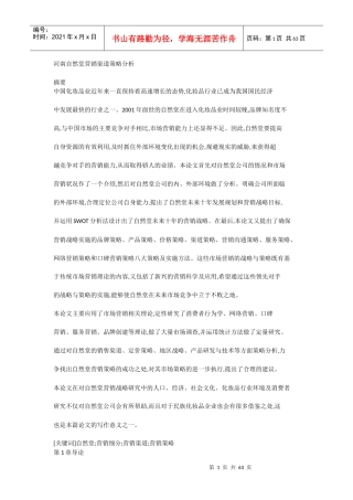 河南自然堂营销渠道策略分析