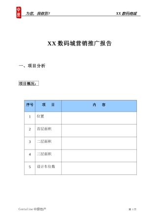 某数码城营销推广报告