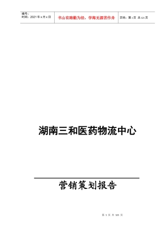 湖南某医药物流营销策划报告