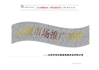 润康市场推广策略研究报告