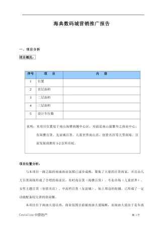 海典数码城营销推广报告doc16(1)