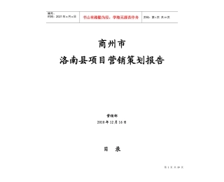 某县项目营销策划报告