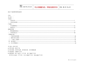 新龙广场前期营销策划报告(1)