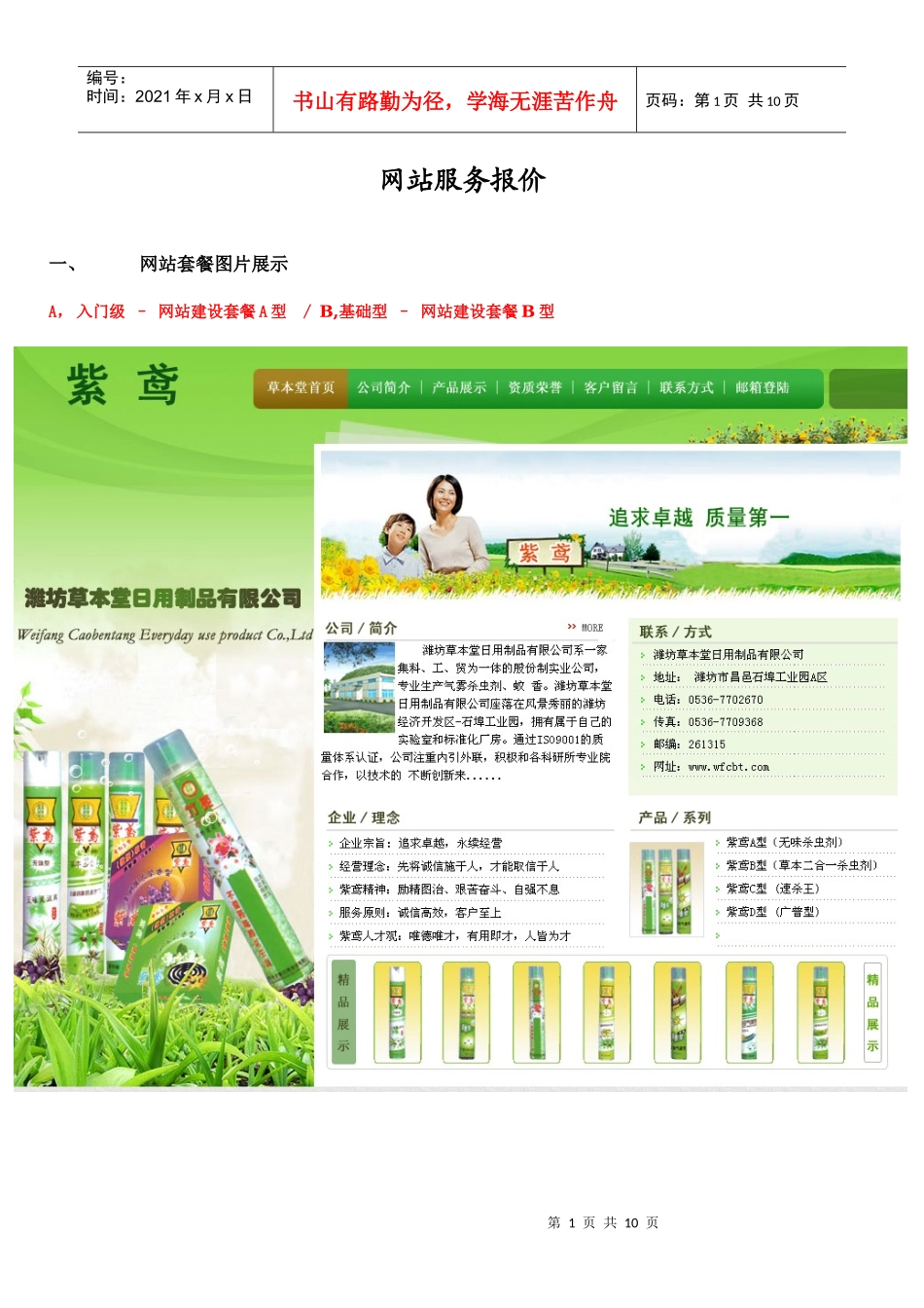 浅析网站服务报价_第1页